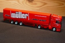 Truck modelle scania gebraucht kaufen  Frankenthal