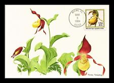 lady slipper orchid for sale  Indianapolis