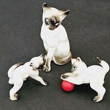 Siamese cat family for sale  Raymore
