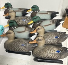 Plastic duck decoys for sale  Dallas