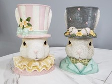 Set bunny rabbits for sale  Portage