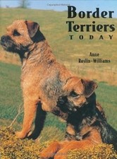 Border terriers today for sale  UK