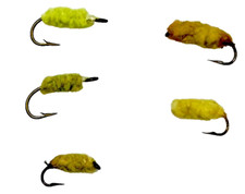 Freshwater trout caddis for sale  Stevensville
