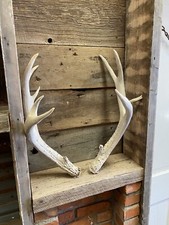 Heavy mass set for sale  Show Low