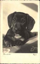 Vintage rppc sweet for sale  South Portland