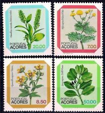 Azzorre 1981 fiori usato  Trambileno