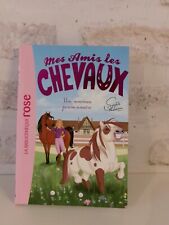 Livre enfant amis d'occasion  Verneuil-sur-Vienne