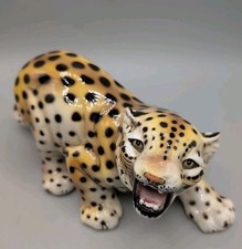 cheetah for sale cheetah for sale PONTYCLUN