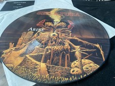 Sepultura arise picture gebraucht kaufen  Steinach