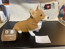 Pembroke welsh corgi for sale  Coventry