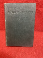 Birds nests eggs for sale Birds nests eggs for sale  MARKET RASEN