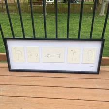 Ikea olunda picasso for sale  Kearney