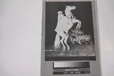Zorro serie rare d'occasion  France
