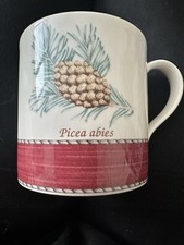 Wedgwood sarah garden for sale  BROMLEY
