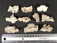 Big lot ten for sale  Salt Lake City