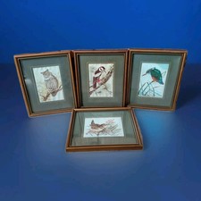 Wren kingfisher great for sale  ARUNDEL