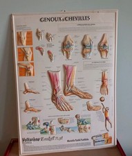 Ancienne affiche plaque d'occasion  Châteauroux