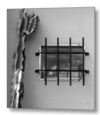 Outsiders cactus window for sale  High Point