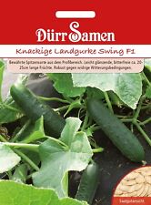 Landgurken swing gurken gebraucht kaufen  Mannheim