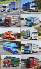 livestock truck for sale  STOCKPORT