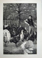 Old antique print for sale  UK