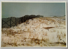 Sand dune winter for sale  Mount Laurel