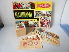 Naturama lampo 1968 usato  Milano