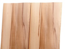 Blatt kernbuche wildbuche gebraucht kaufen  Bad Salzuflen