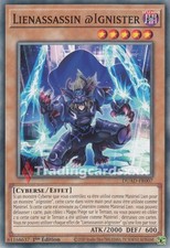 Lienassassin ignister duad d'occasion  France
