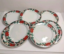 Tienshein dinner plates for sale  Cypress