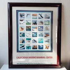 Rare 1984 california for sale  West Sacramento