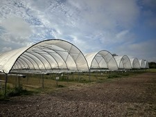 Spanish polytunnels galvanised for sale Spanish polytunnels galvanised for sale  CHICHESTER