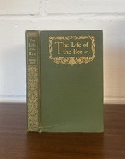 Life bee for sale  CULLOMPTON