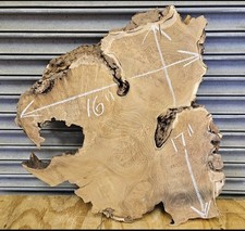 Mulberry burl x16 for sale  Bacliff