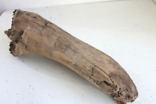 Schwemmholz treibholz skulptur gebraucht kaufen  Fronreute