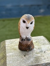 Barn owl beautiful for sale  BELFAST