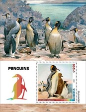 2025 liberia penguins d'occasion  Brunoy