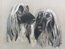 Two afghan hounds for sale  LONDON