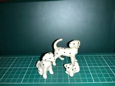dalmation pups for sale dalmation pups for sale HINCKLEY