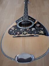 Bouzouki gebraucht kaufen  Köln