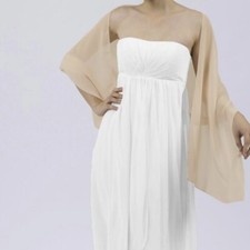 Champagne chiffon shawl for sale  LONGFIELD