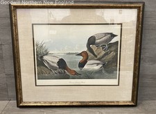Framed john audubon for sale  Gorham