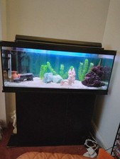 3ft fish tanks for sale 3ft fish tanks for sale WEMBLEY