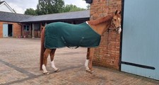 Mark todd thermatex for sale  WEST MALLING
