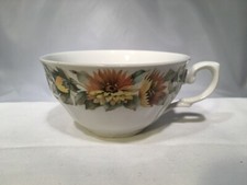 Rare chinamoda ironstone for sale  Palatka