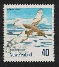 Antarctic petrel bird for sale  UK