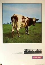 Usado, Pink Floyd Atom Heart Mother 1986 Vintage Poster 23.5 X 33 comprar usado  Enviando para Brazil