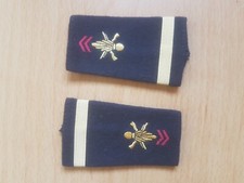 Fourreaux grade lieutenant d'occasion  Pamiers