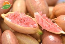 Australian hybrid finger for sale  Dallas
