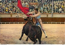 Corrida rafael ortega d'occasion  Fruges